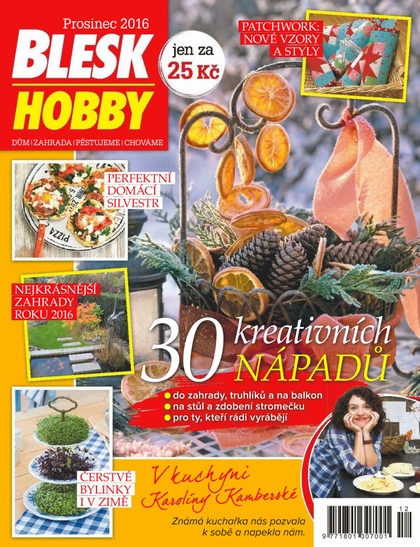 E-magazín Blesk Hobby - 12/2016 - CZECH NEWS CENTER a. s.