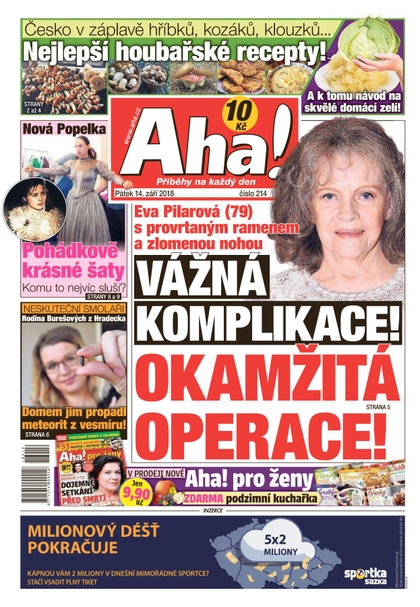 E-magazín AHA! - 14.9.2018 - CZECH NEWS CENTER a. s.