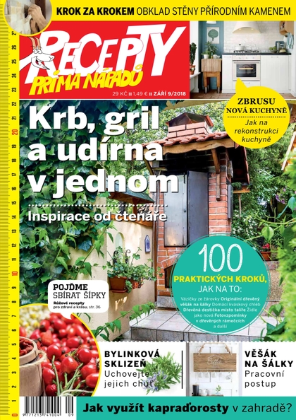 E-magazín Recepty prima nápadů 9/2018 - Jaga Media, s. r. o.