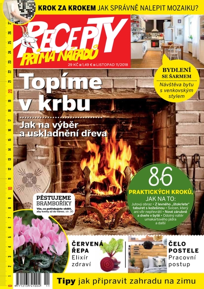E-magazín Recepty prima nápadů 11/2018 - Jaga Media, s. r. o.