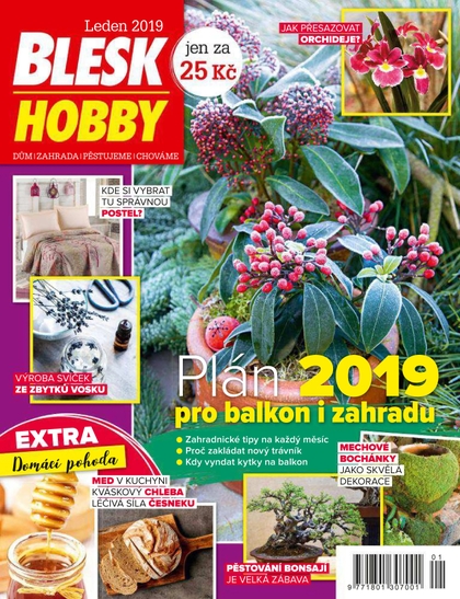 E-magazín Blesk Hobby - 01/2019 - CZECH NEWS CENTER a. s.