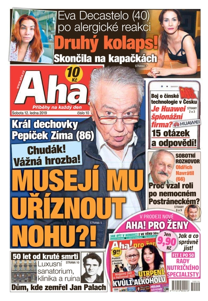 E-magazín AHA! - 12.1.2019 - CZECH NEWS CENTER a. s.