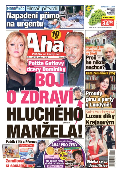 E-magazín AHA! - 14.1.2019 - CZECH NEWS CENTER a. s.