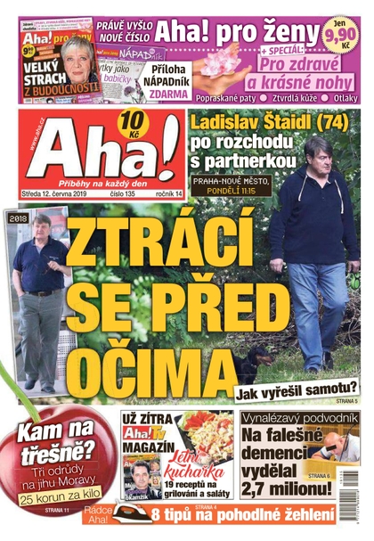 E-magazín AHA! - 12.6.2019 - CZECH NEWS CENTER a. s.