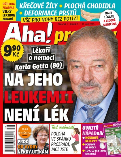 E-magazín AHA! pro ženy - 38/2019 - CZECH NEWS CENTER a. s.