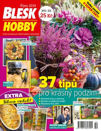 E-magazín Blesk Hobby - 10/2019 - CZECH NEWS CENTER a. s.
