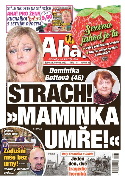 E-magazín AHA! - 6.6.2020 - CZECH NEWS CENTER a. s.