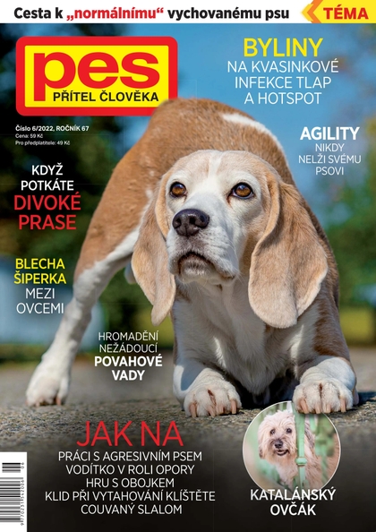 E-magazín Pes přítel člověka 6/2022 - Pražská vydavatelská společnost