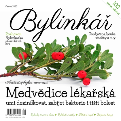 E-magazín Bylinkář 6/2020 - Extra Publishing, s. r. o.