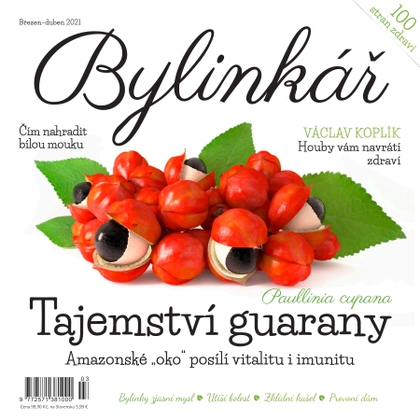 E-magazín Bylinkář - 3-4/2021 - Extra Publishing, s. r. o.