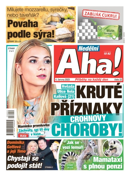 E-magazín Nedělní AHA! - 4.6.2023 - CZECH NEWS CENTER a. s.