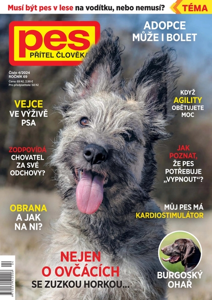 E-magazín Pes přítel člověka 4/2024 - Pražská vydavatelská společnost