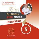 Audiokniha Business Risk Buster Intervenes 5 - John Vladimír