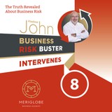 Audiokniha Business Risk Buster Intervenes 8 - John Vladimír