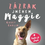 Audiokniha Zázrak jménem Maggie - Kasey Carlin