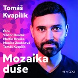 Audiokniha Mozaika duše - Tomáš Kvapilík