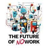 Audiokniha The Future of No Work - Filip Dřímalka