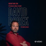 Audiokniha Krvavý rok 5784 - David Borek