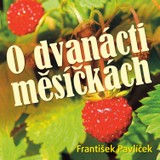 Audiokniha O dvanácti měsíčkách - Božena Němcová