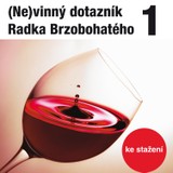 Audiokniha (Ne)vinný dotazník Radka Brzobohatého 1. - Radoslav Brzobohatý