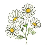 Audiokniha O heřmánkové víle - Marie Kubátová