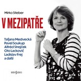 Audiokniha V mezipatře - Mirko Stieber