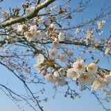 Audiokniha Máj - Karel Hynek Mácha, Viktor Preiss, Ladislav Frej, Radovan Lukavský, Josef Somr, Vladimír Ráž