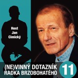 Audiokniha (Ne)vinný dotazník Radka Brzobohatého 11. - Radoslav Brzobohatý