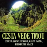 Audiokniha Cesta vede tmou - Petr Němec