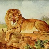 Audiokniha O moudrém králi - Dagmar Langová, Lucie Juřičková