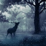 Audiokniha Nejčernější les - Karel Weinlich, Marie Spurná, Věra Hučínová, Jiří Langmajer, Antonín Hardt, Ladislav Mrkvička, Karel Šiktanc, Radoslav Brzobohatý