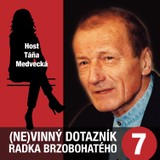 Audiokniha (Ne)vinný dotazník Radka Brzobohatého 7. - Radoslav Brzobohatý