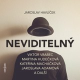 Audiokniha Neviditelný - Kateřina Macháčková, Jaroslava Adamová, Milan Riehs, Jaroslav Havlíček, Martina Hudečková, Viktor Vrabec, Jaroslav Konečný, Karel Pospíšil