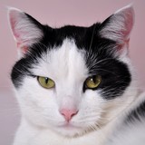 Audiokniha O splněných přáních - Dagmar Langová, Miroslav Hruška