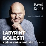 Audiokniha Labyrint bolesti - Pavel Kolář