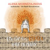 Audiokniha Strašidýlko Stráša hasí průšvihy - Alena Mornštajnová