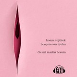 Audiokniha Bezejmenná touha - Honza Vojtíšek