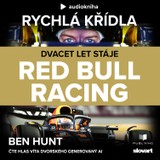 Audiokniha Rychlá křídla - Ben Hunt