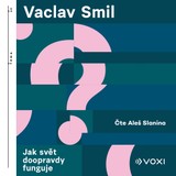 Audiokniha Jak svět doopravdy funguje - Václav Smil