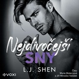 Audiokniha Nejdivočejší sny - L. J. Shen