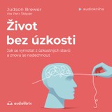 Audiokniha Život bez úzkosti - Judson Brewer
