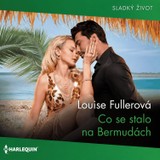 Audiokniha Co se stalo na Bermudách - Louise Fullerová