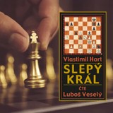 Audiokniha Slepý král - Vlastimil Hort