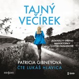 Audiokniha Tajný večírek - Patricia Gibneyová