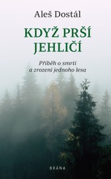 E-kniha Když prší jehličí - Aleš Dostál