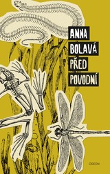 E-kniha Před povodní - Anna Bolavá