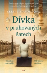 E-kniha Dívka v pruhovaných šatech - Ellie Midwoodová