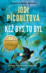 E-kniha Kéž bys tu byl - Jodi Picoultová