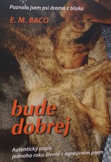 E-kniha Bude dobrej - Emilia Miluše Baco