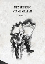 E-kniha Než se pěšec stane králem - Vojtěch Žák